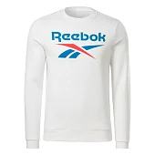 Толстовка Reebok мужская H54796 от магазина Супер Спорт